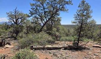 450 Arizona Rd, Ash Fork, AZ 86320