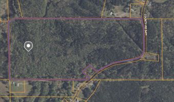 North Palestine Road, Baldwyn, MS 38824