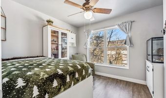 323 N OAK St, Alma, CO 80420