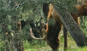 PN TBD BACHE ST & MESITA DR, Alto, NM 88312