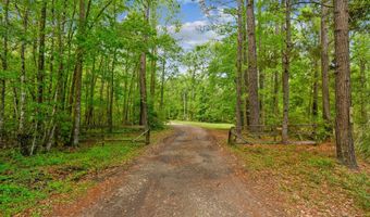 7095 Parkers Ferry Rd, Adams Run, SC 29426