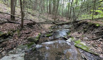 Stewart Road, Addison, NY 14801