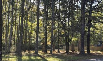 Lot 6 2nd Street NE, Arab, AL 35016