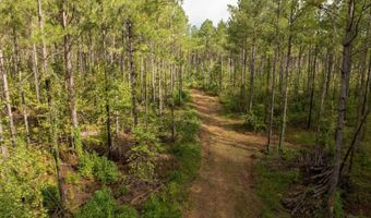 00 Pisgah Rd 2, Brandon, MS 39047