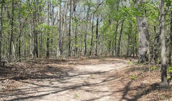 000 S Plainview, Anderson, MO 64831