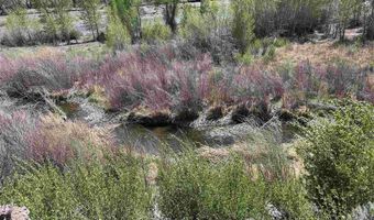 N Fork Hwy, Cody, WY 82414