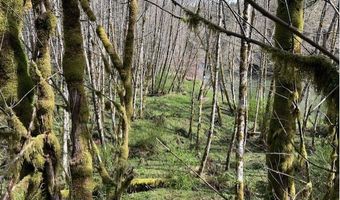 Northrup Creek Rd, Birkenfeld, OR 97016