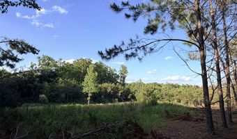 County Road 167, Baldwyn, MS 38824