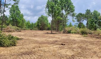 484 Naples Ln, Arab, AL 35016