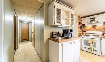 24031 ARMADILLO Rd, Astor, FL 32102