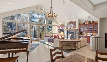 990 E Hopkins Ave, Aspen, CO 81611