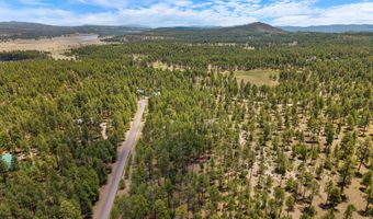 98 County Road 2266, Alpine, AZ 85920