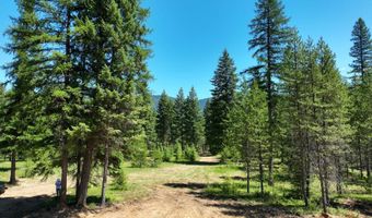 Nna 196 Acres Hwy 95, Bonners Ferry, ID 83805