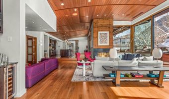 233 E Cooper Ave 301, Aspen, CO 81611