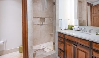 100 E Thomas Place Unit 3052 - Week 4 3052 - Week 4, Beaver Creek, CO 81620