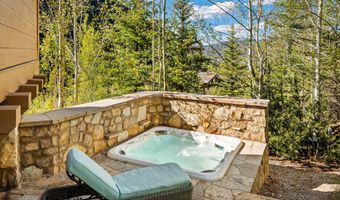 388 Exhibition Ln, Aspen, CO 81611