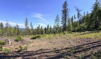 2008 SUMMIT VALLEY Rd Lot F, Addy, WA 99101