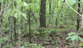 E Mountain Road, Bee Branch, AR 72013