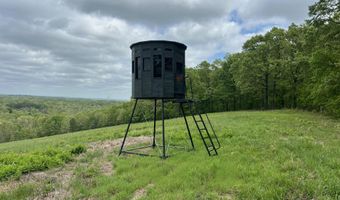 Co Rd 321 Route 5, Ava, MO 65608