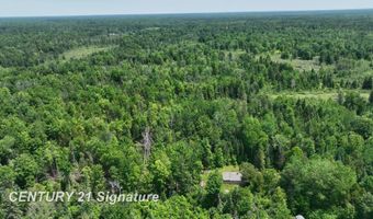 6002 Wildwood, Alger, MI 48610