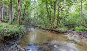 23 59 Ac Chestnut Flats Rd, Andrews, NC 28901