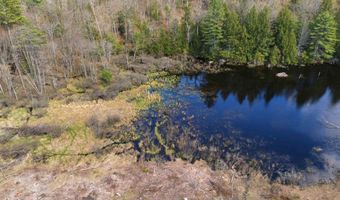 Pierce Lake Road lot 0-1-2, Antrim, NH 03440