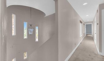 1005 PIANO Ln, Apollo Beach, FL 33572