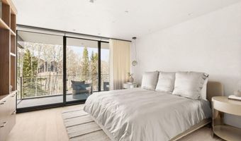 323 E Reds Rd, Aspen, CO 81611