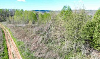 10 Acres County Road 792, Flat Rock, AL 35966