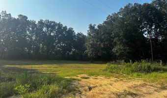 0 Bauman Rd, Ashford, AL 36312