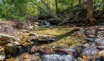 10 Dodd Rd, Barnardsville, NC 28709