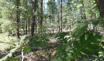 9 County Road 2073, Alpine, AZ 85920