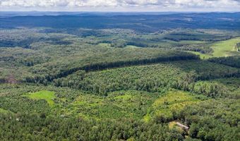 62- Acres Grandmas Hill Rd, Amherst, VA 24521