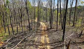 61 AC Hidden Cove Ln, Allons, TN 38541