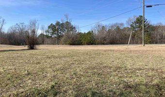 0 WILSON CHAPEL Rd Tract 4, Altoona, AL 35952