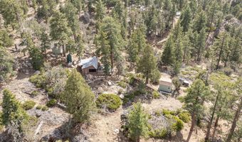 4535 Ironwood, Angelus Oaks, CA 92305