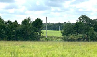 0003 Woody Pace Rd, Antlers, OK 74523