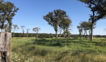 TRACT 4 CR 4506, Athens, TX 75752