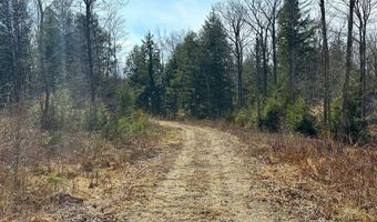 Lot # 02 North Road, Parsonsfield, ME 04047