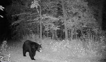 N3953-n3739 Bear Pen Road, Arkansaw, WI 54721