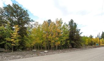 452 QUARTZVILLE Rd, Alma, CO 80420