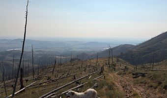 Pine Acres Rd, Bellvue, CO 80512