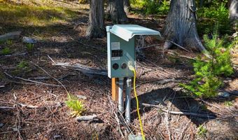 Swan Shores Lane, Bigfork, MT 59911