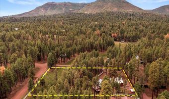 11 Whitetail Rd, Alpine, AZ 85920