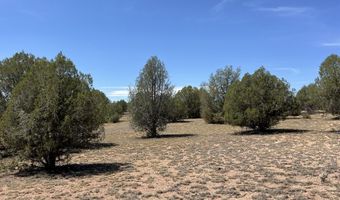 21 Off Of Cooks Trl, Ash Fork, AZ 86320