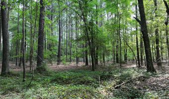 Highway 112, Abbeville, GA 31001