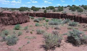 Tbd Ranch of the White Mountains, Concho, AZ 85924