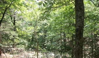 3751 CR 1313 County Road 1313 Crane Lake Rd, Arcadia, MO 63621
