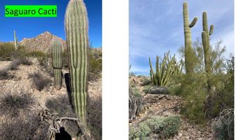 0 Alley Rd, Ajo, AZ 85321