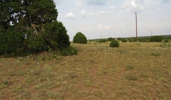 70 County Road 5054, Concho, AZ 85924